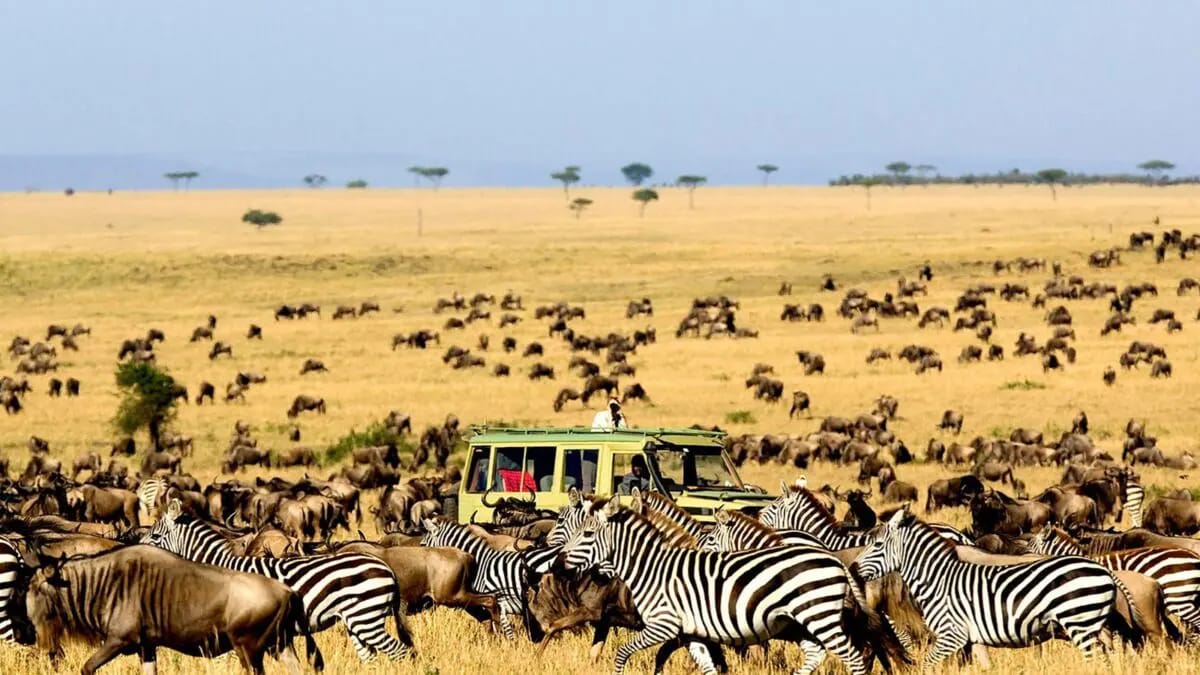 4 Days Serengeti & Ngorongoro Safari Itinerary